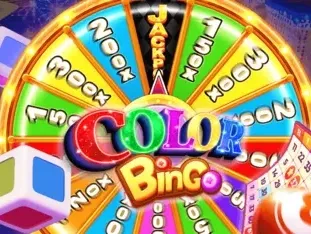 Color Bingo icon